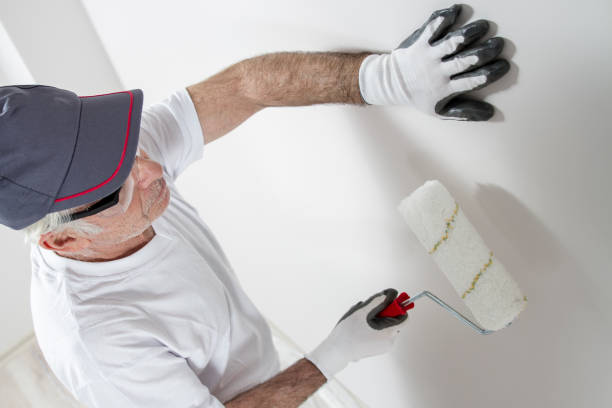 Best Basement Mold Removal  in Fredonia, KS