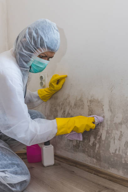 Best Mold Odor Removal Services  in Fredonia, KS