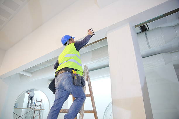 Best Emergency Mold Remediation  in Fredonia, KS